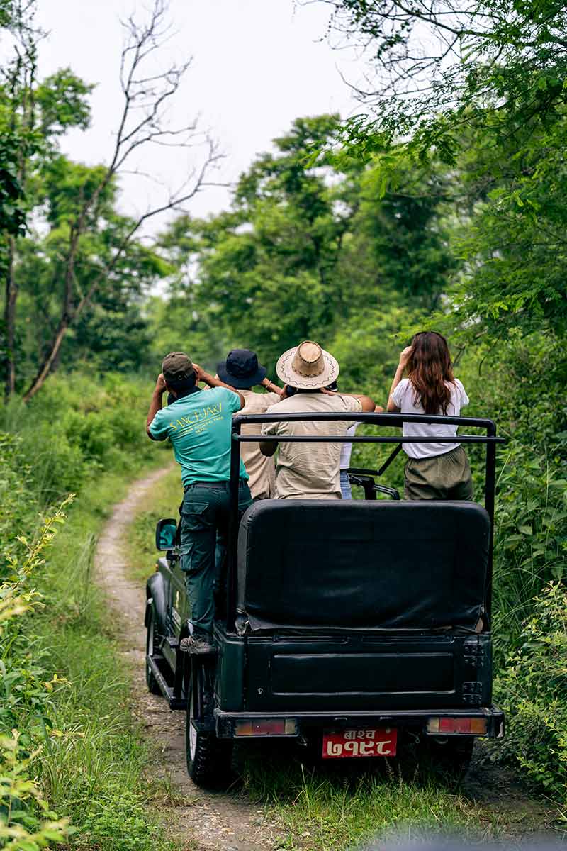 Jeep-Drive-Inside-Chitwan-National-Park